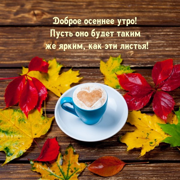 Доброе дождливое осеннее утро