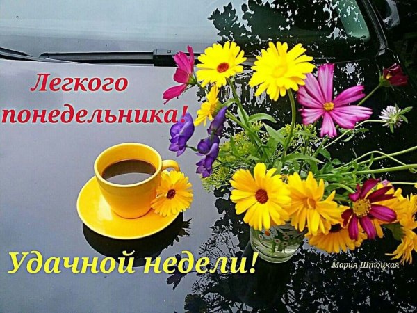Хорошего понедельника и отличного настроения