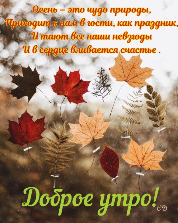 Классного настроения осень