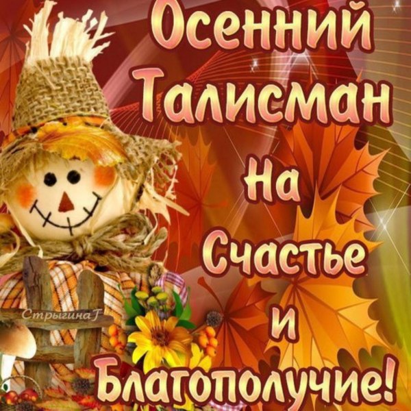 С добрым осенним утром понедельника