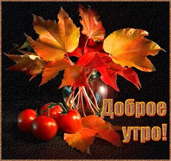 Настроение цитаты