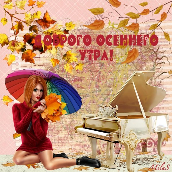 С добрым ноябрьским утром