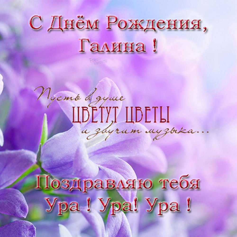 Поздравления с днём рождения Галине