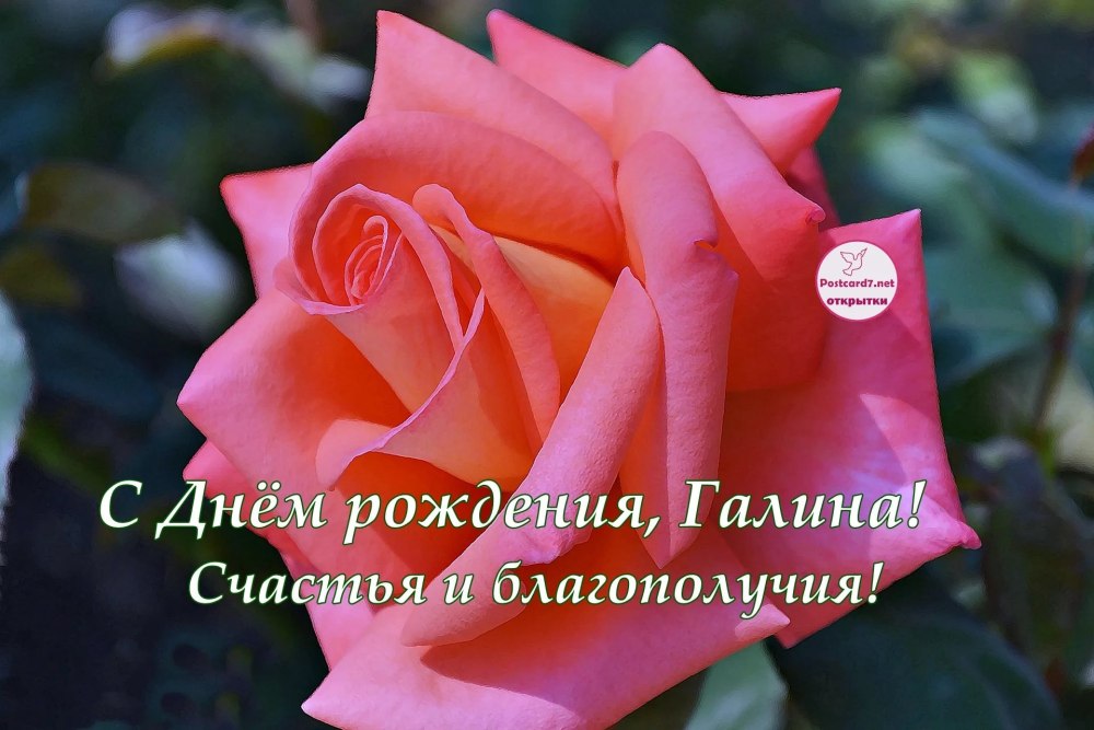 С днем рождения