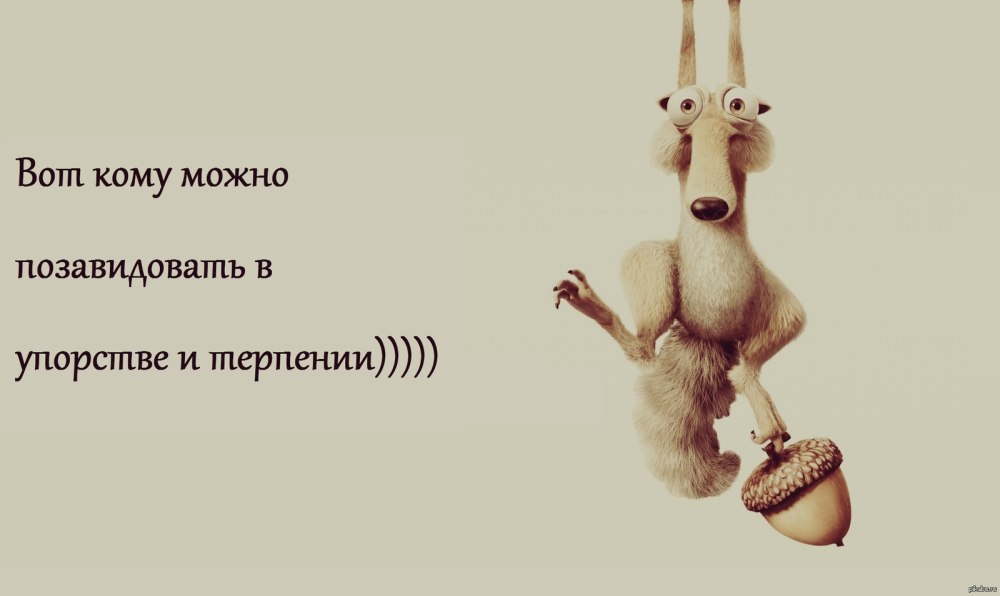 Мультфильм ну,погоди мультфильм