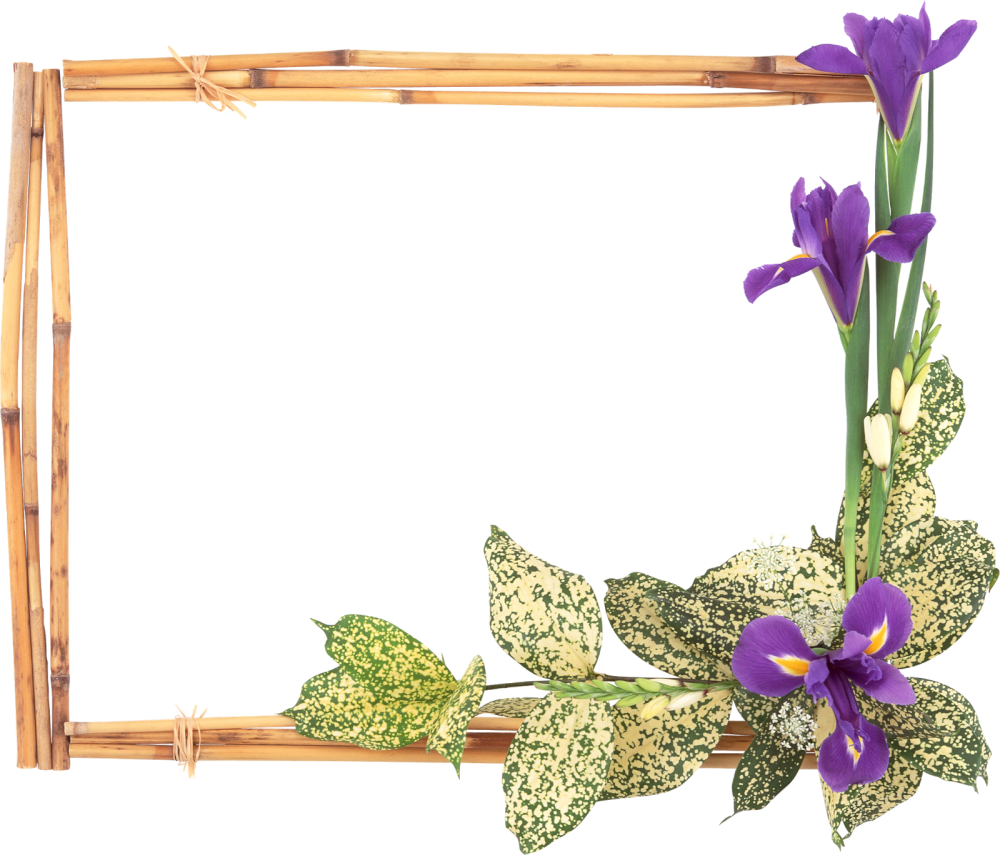 Весенняя рамка