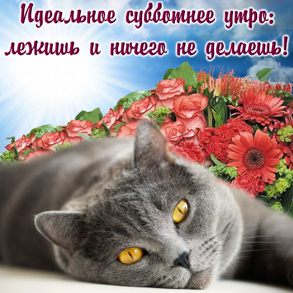 Доброго субботнего дея открытки