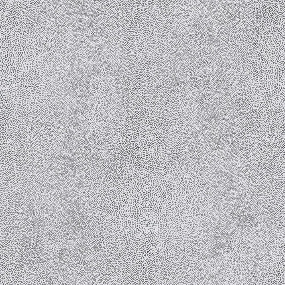 Rasch Lucera 609127