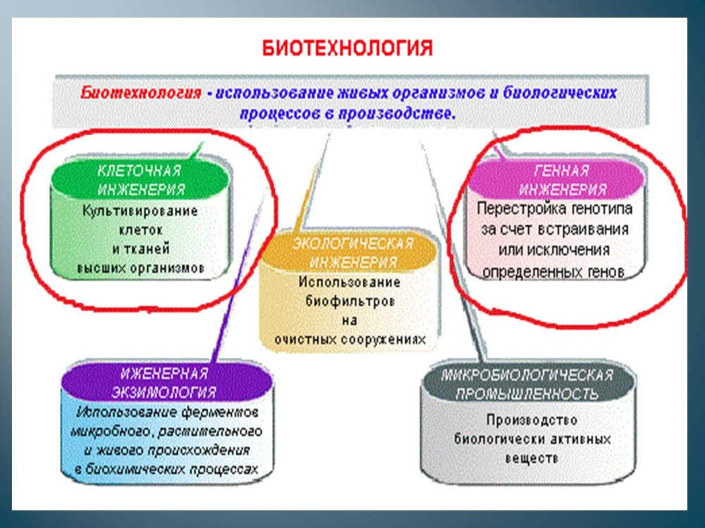 Генная и клеточная инженерия