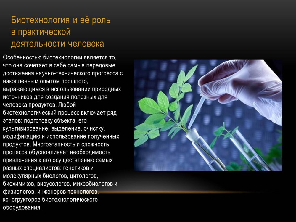 Биотехнология презентация