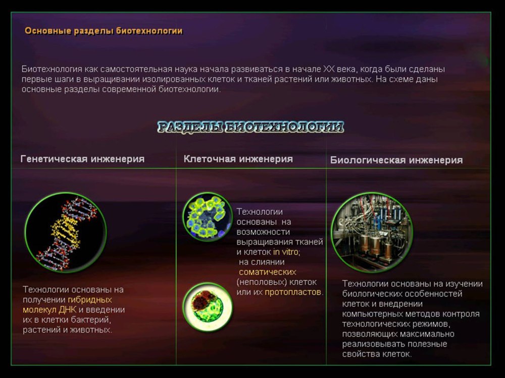 Сообщение о биотехнологе