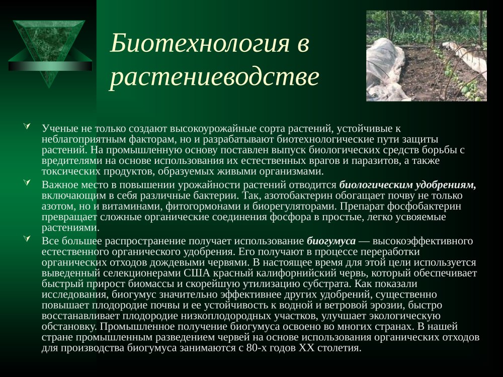 Биотехнология и генная инженерия