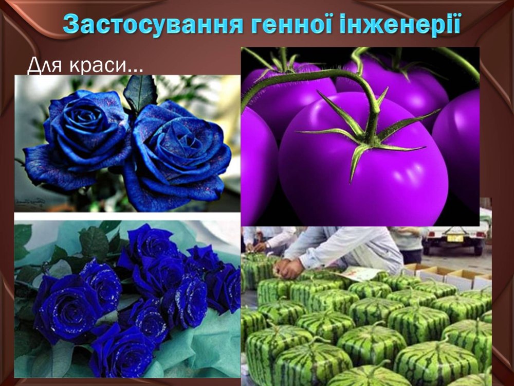 Клеточные биотехнологии