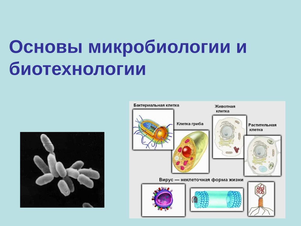 Генно инженерия