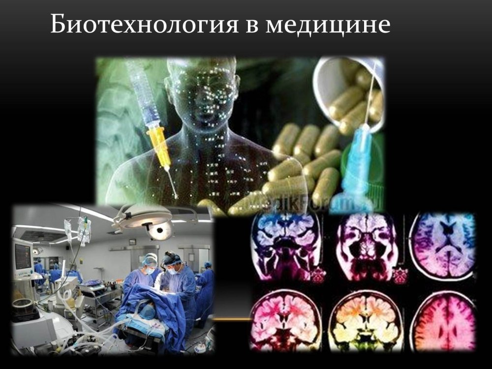 Биотехнология это в биологии