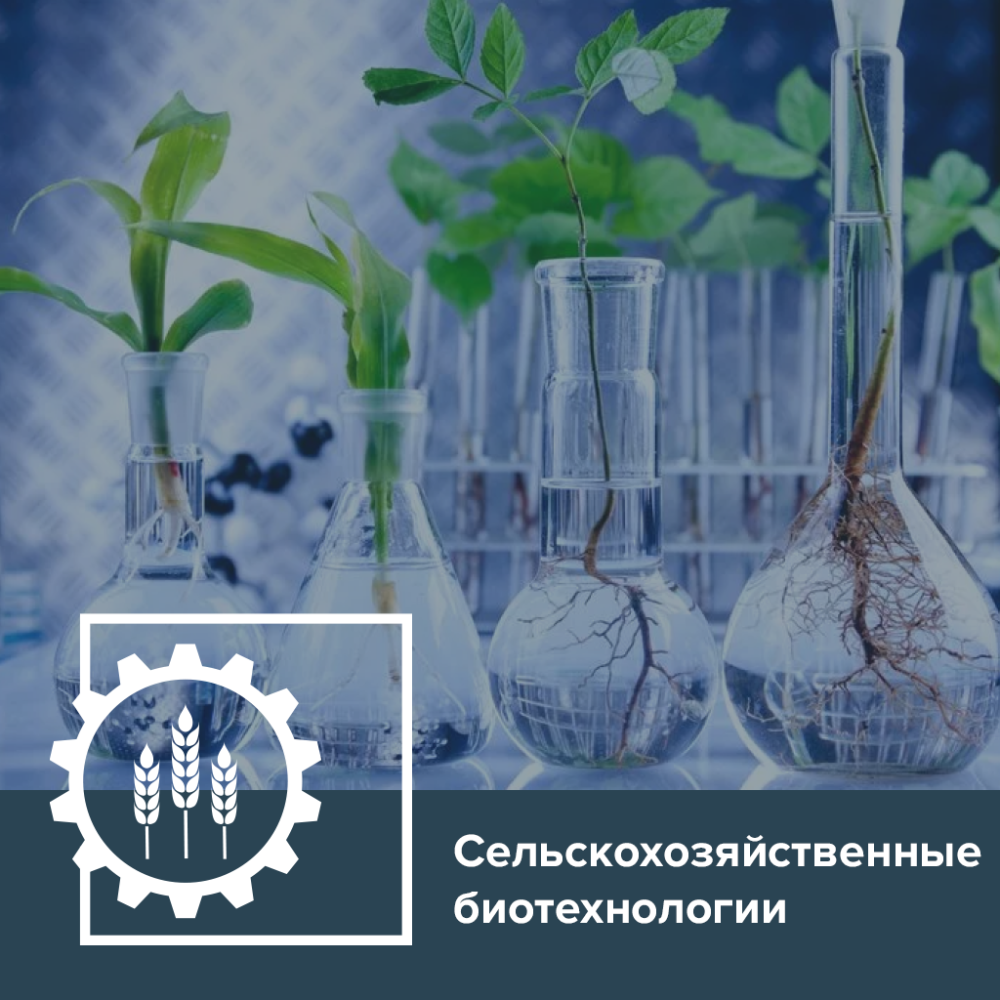 Биотехнолог, биоинженер, фармацевт