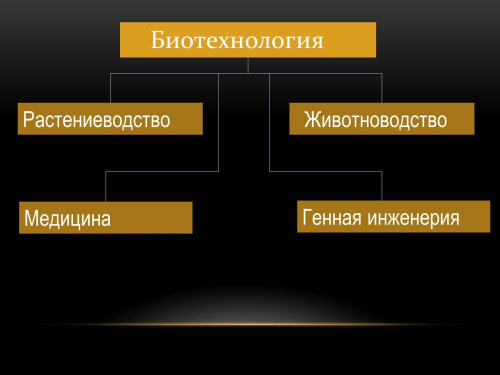 Лаборатория биотехнологии