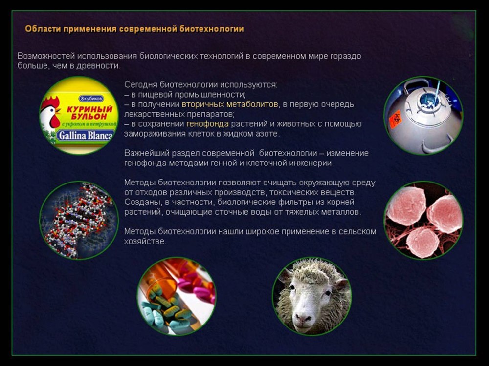 Биотехнология и генная инженерия