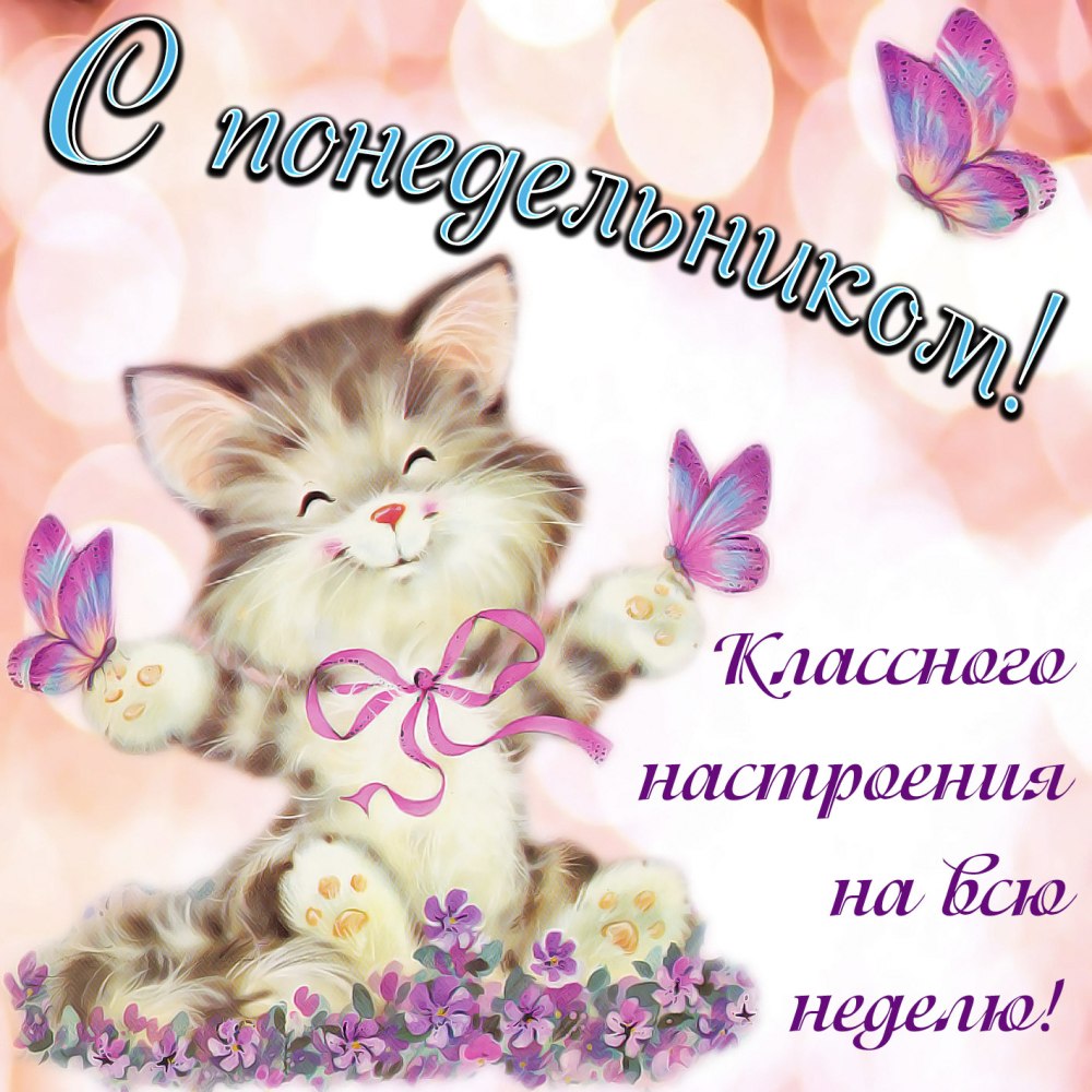Доброго понедельника