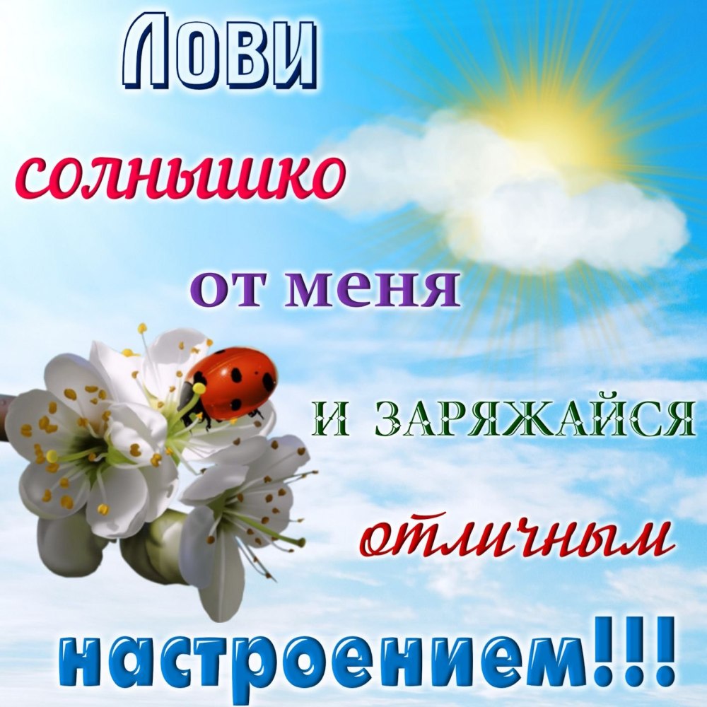 Открытки с пожеланием хорошей недели