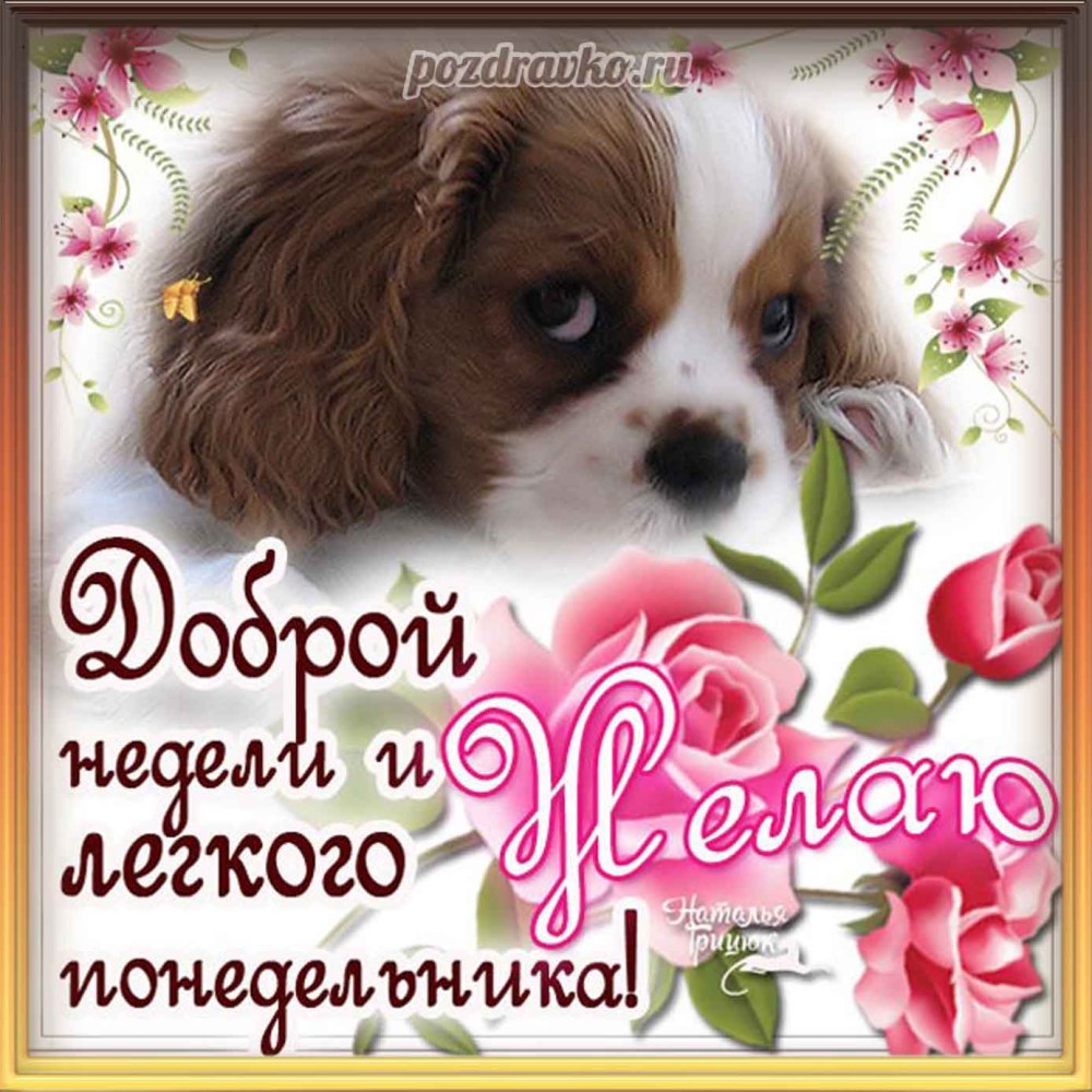 Удачного понедельника и легкой недели Весна