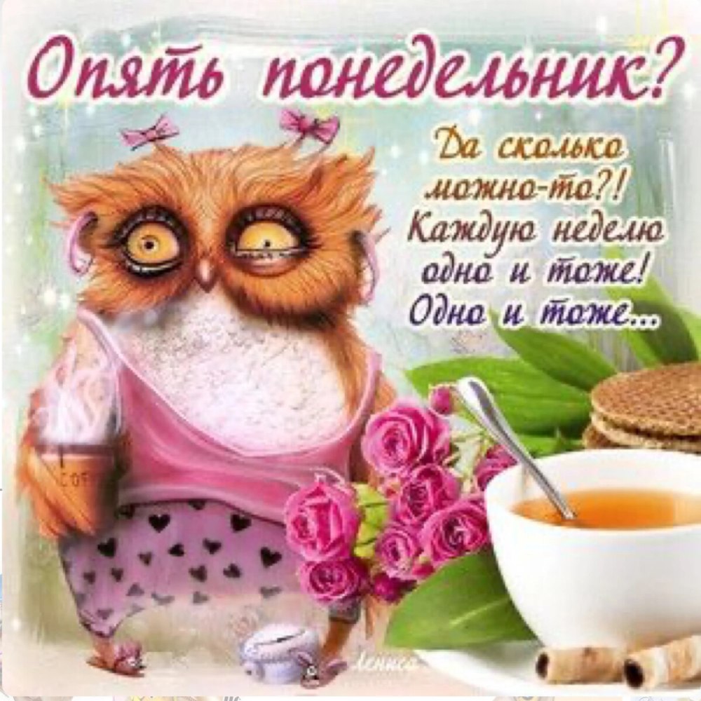 Открытки с добрым утром понедельника