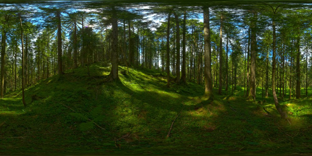 Панорама леса