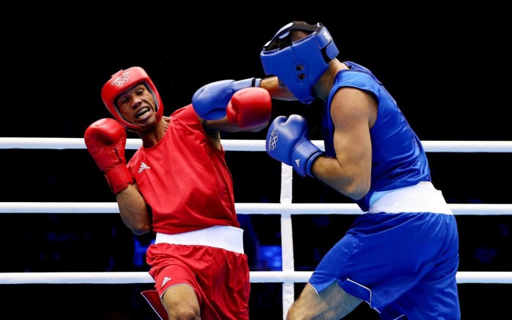 Real Boxing (2014)