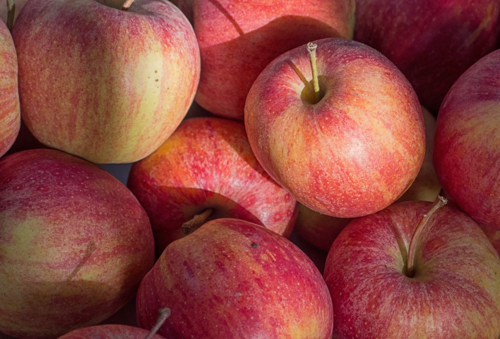 APPLESIN texture