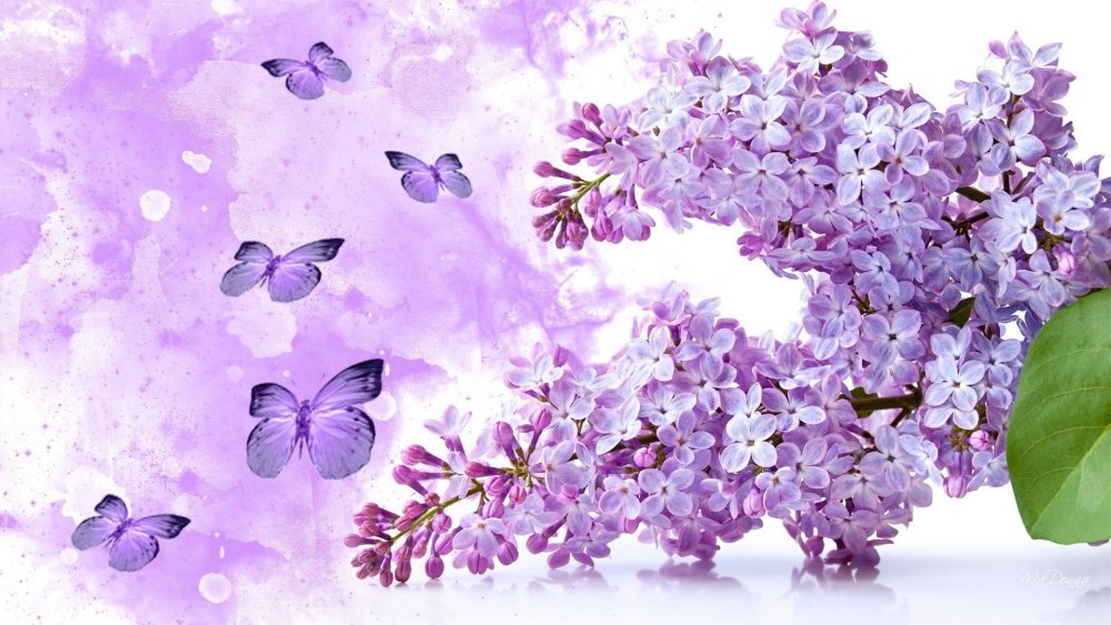 Нежная природа