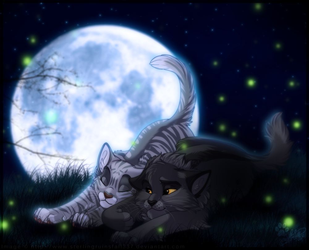 Коты Воители арты от Finchwing