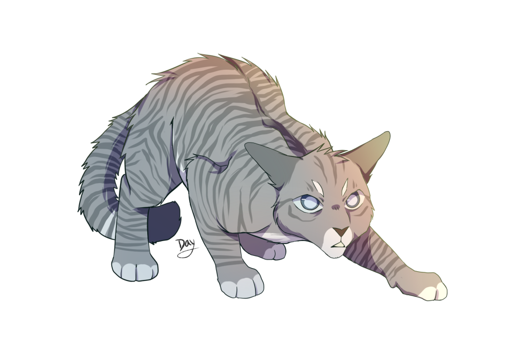 Jayfeather коты Воители