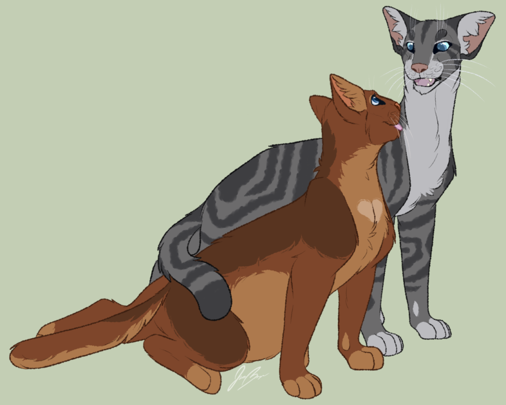 Jayfeather коты Воители