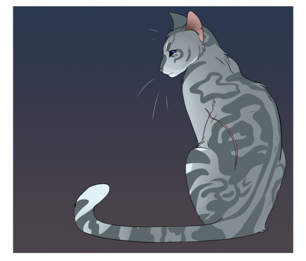 Jayfeather коты Воители