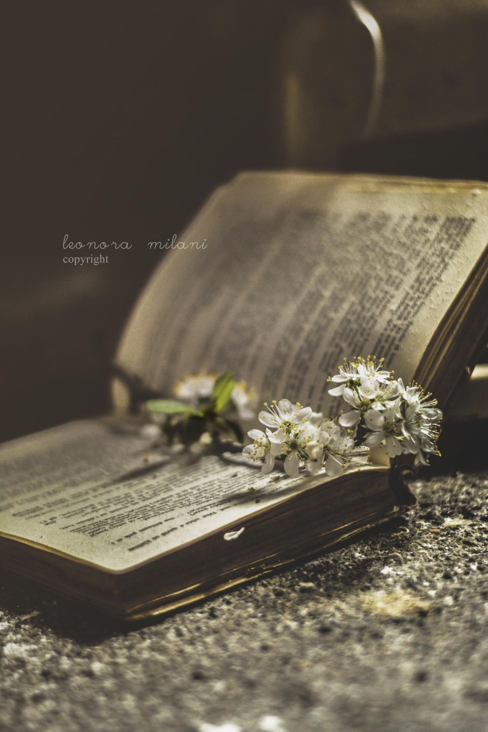 Книги Эстетика