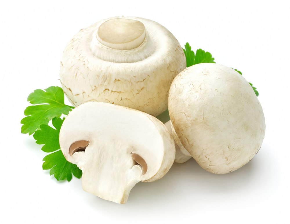 Орешки грибы