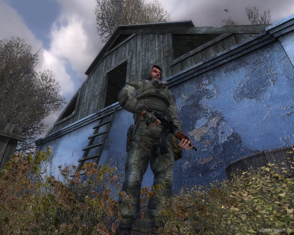Stalker тень Чернобыля кордон
