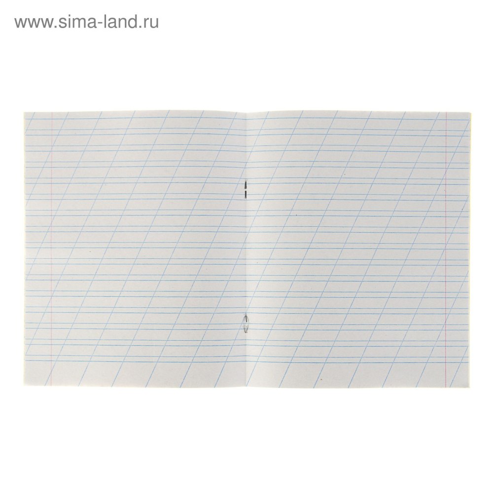 Тетрадь 12л. Лин. Школьная т5ск12 7328 1/160
