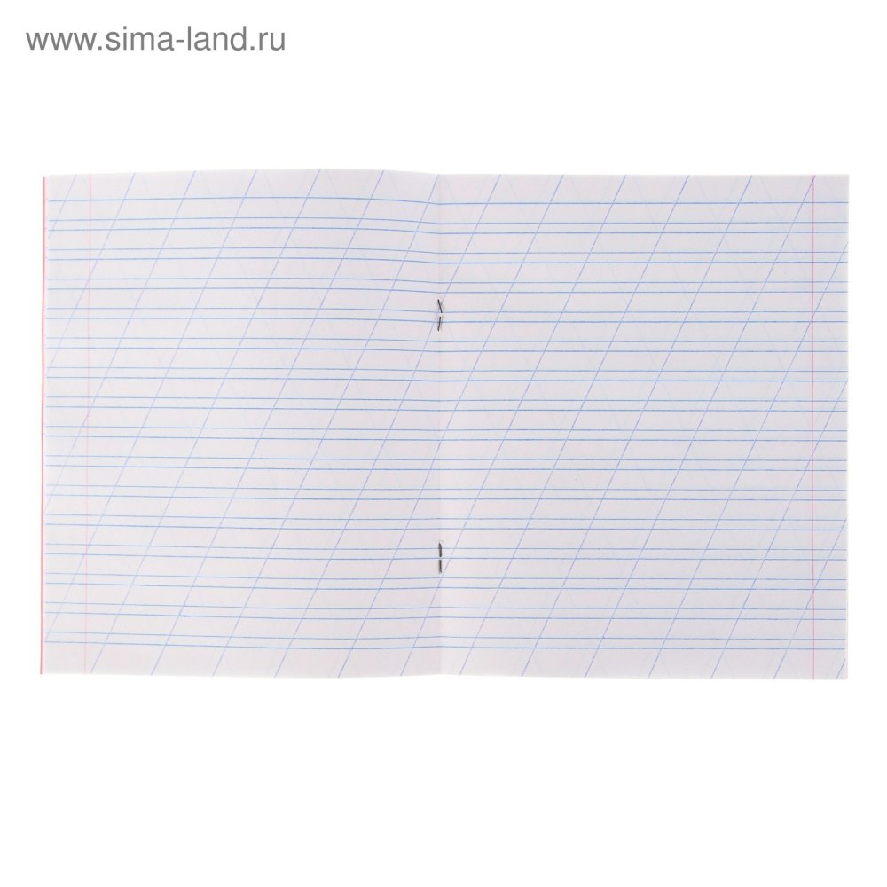 Тетрадь 12л. BRAUBERG классика New узкая линия, обложка картон, зеленая, 105692