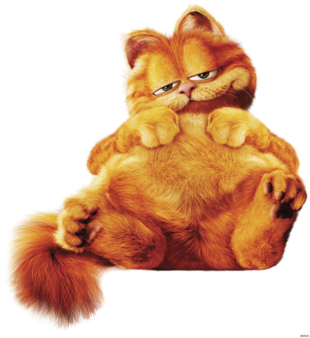 Кот Гарфилд мультик