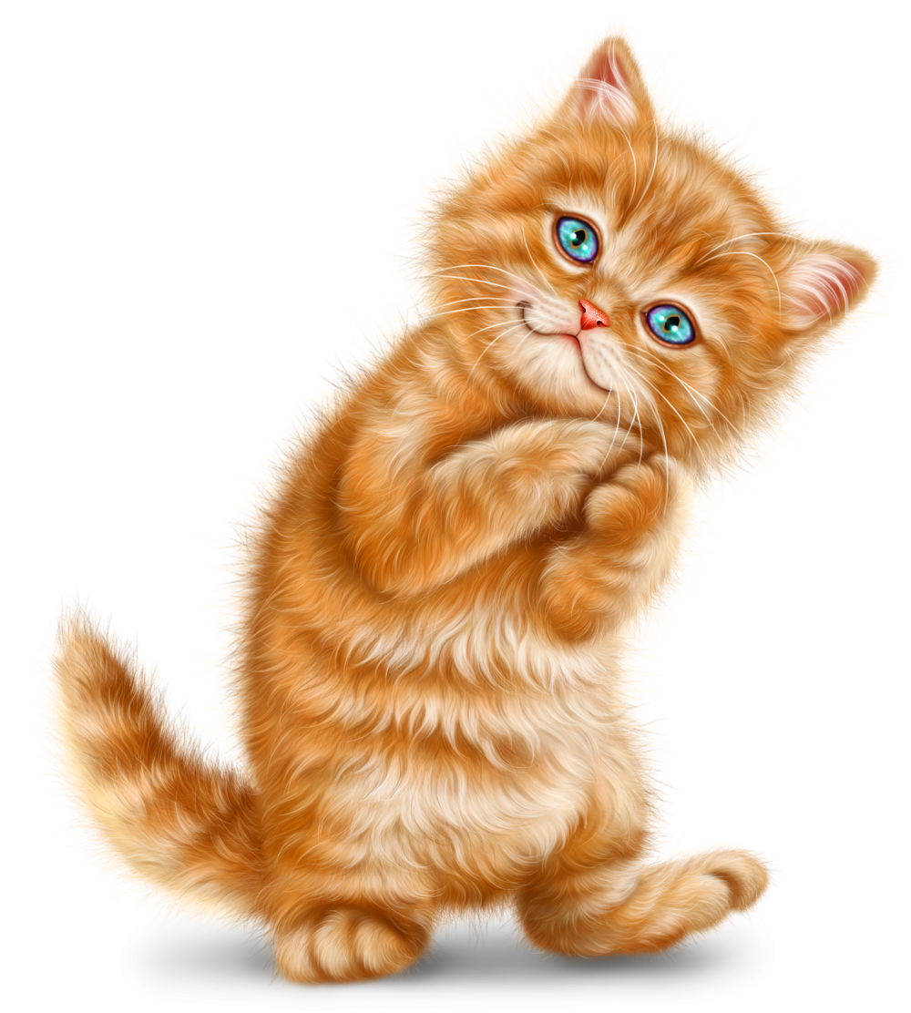 Рыжий котёнок