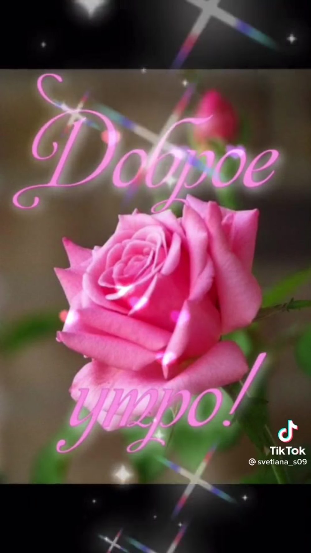 Доброе утро цветы