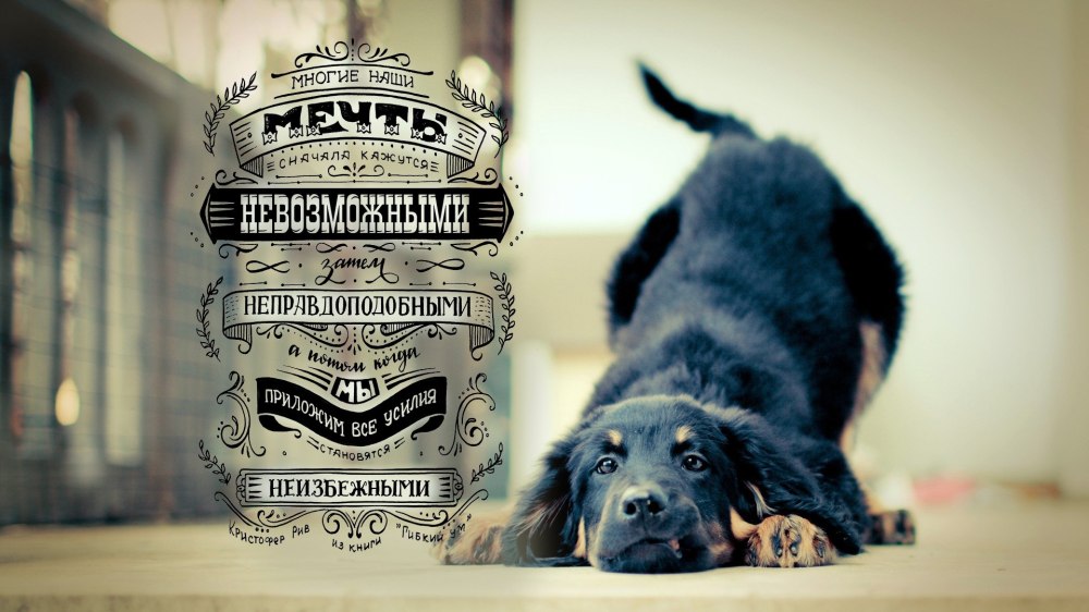Мотивирующие обои на рабочий стол