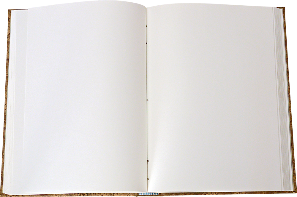 Открытая книга