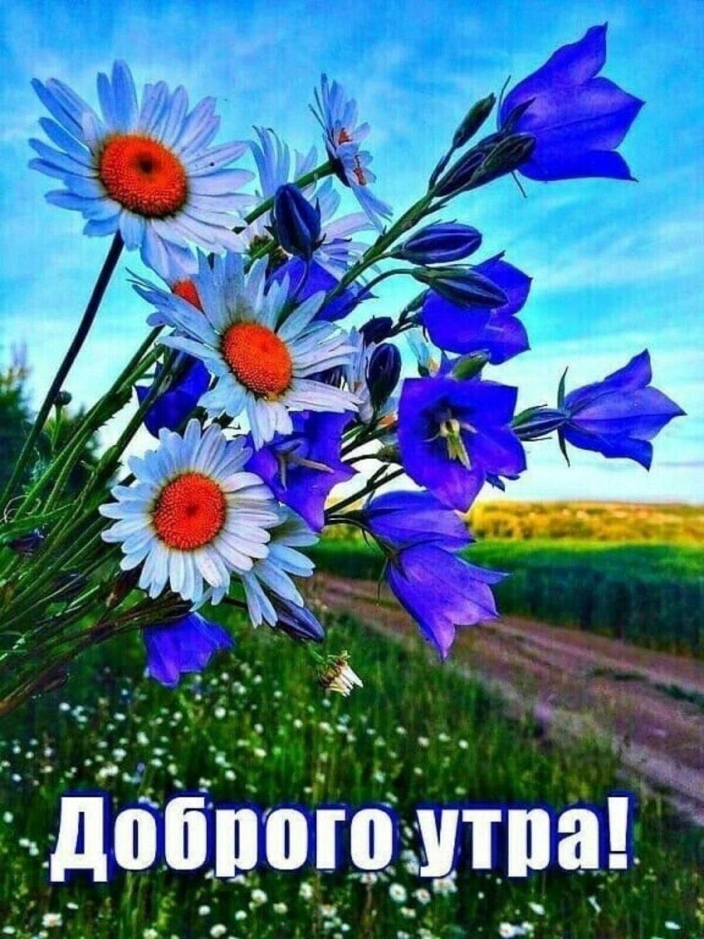 Букет полевых цветов gif