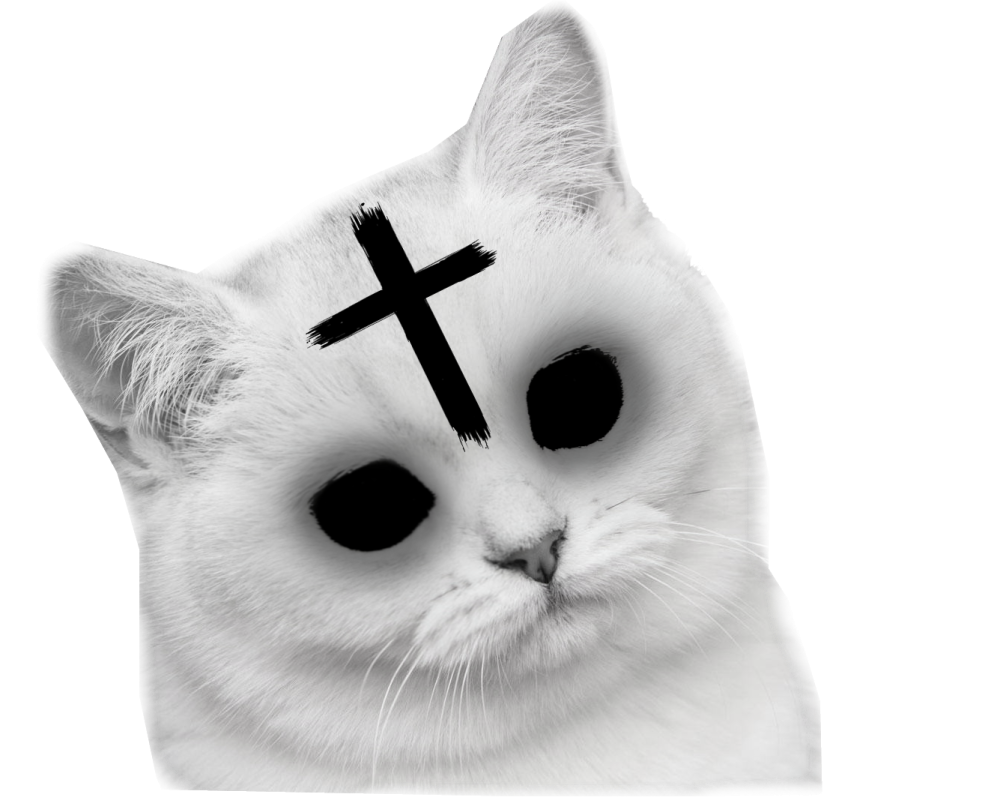 Кот с крестом