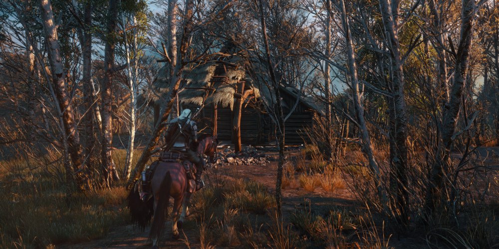 The Witcher 3 Wild Hunt Геральт и Цири
