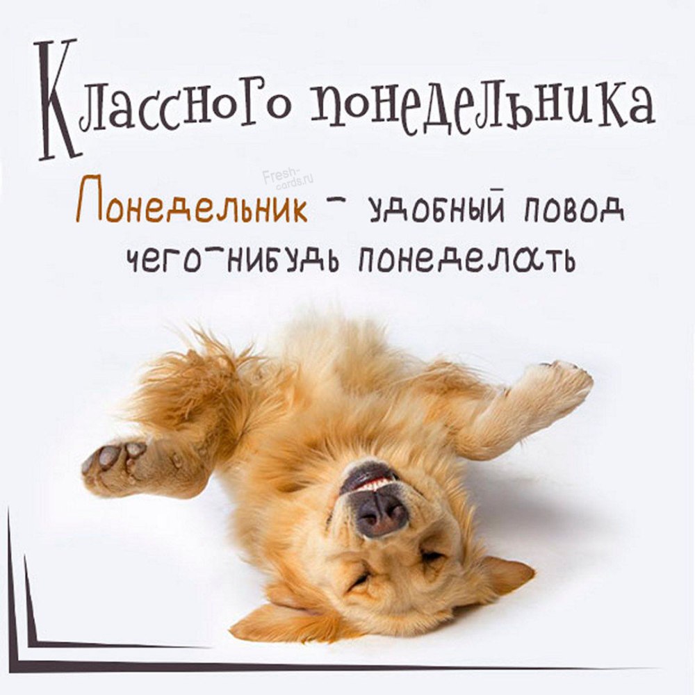 Поздравление с понедельником