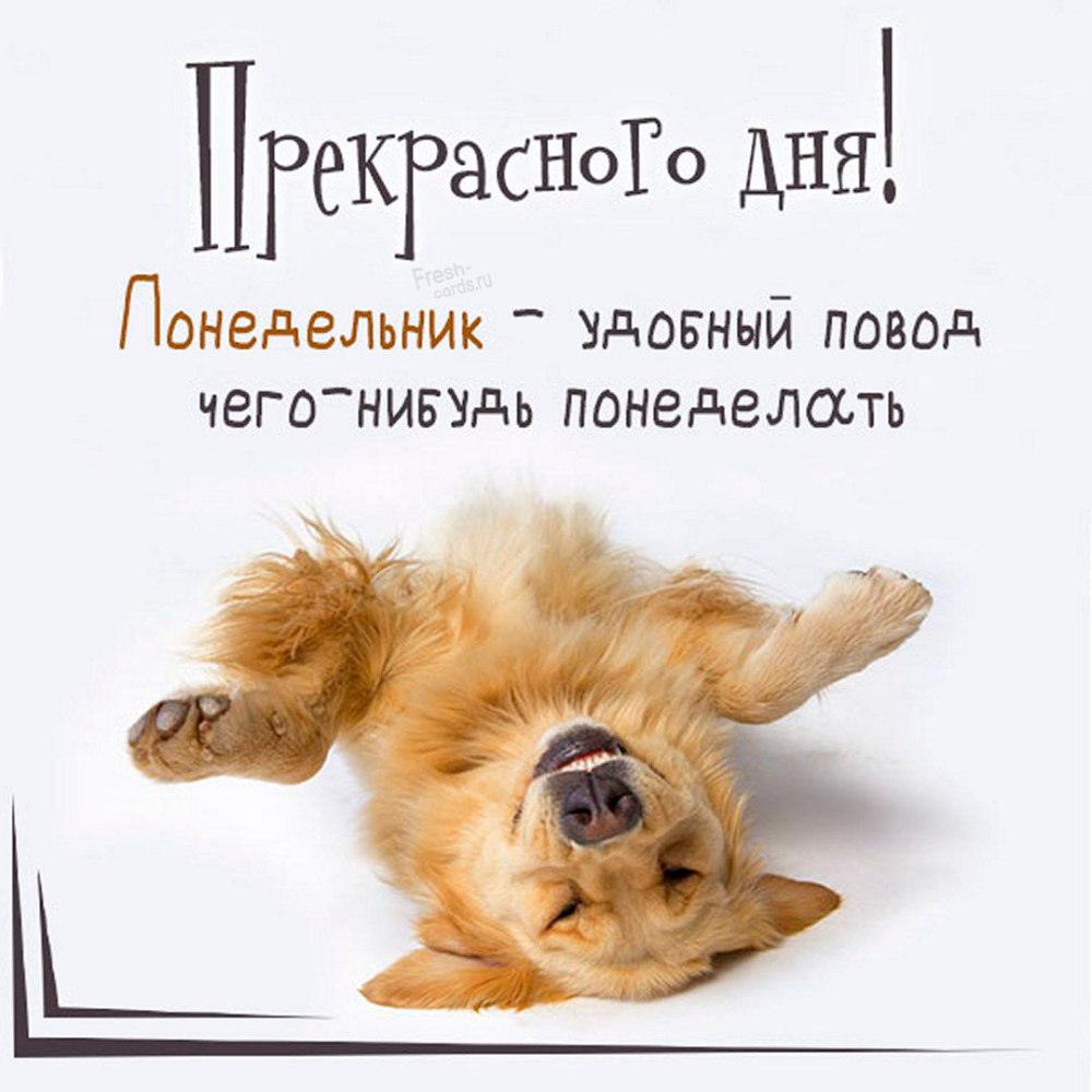 С добрым утро понкдкльника