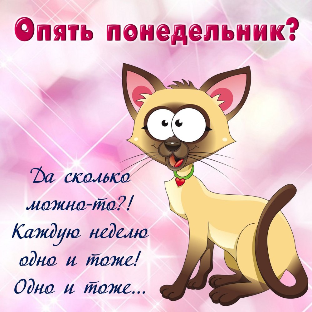 Пожелания доброго утра и хорошего дня